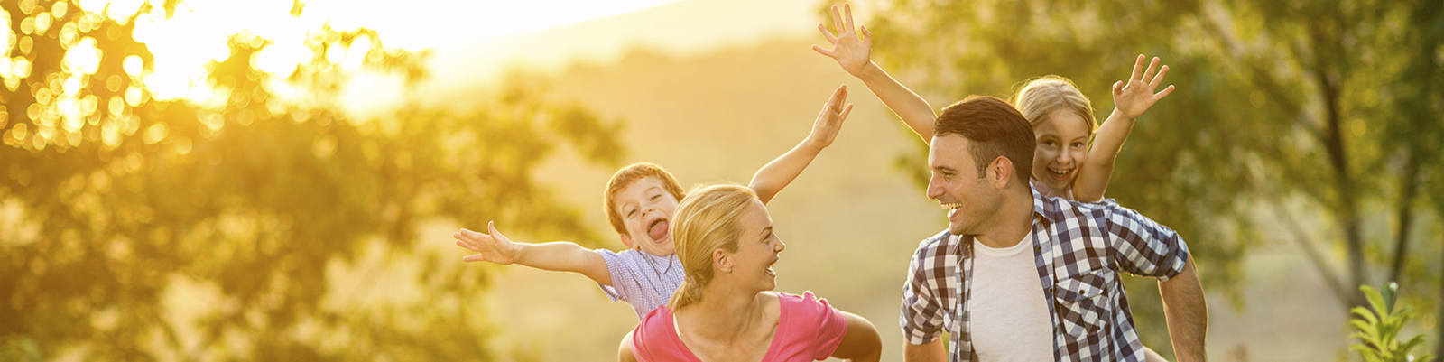 Level Term Life Insurance